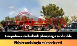 Alanya’da çıkan orman yangını kontrol altına alındı