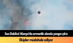 Son Dakika! Alanya'da ormanlık alanda yangın çıktı: Ekipler müdahale ediyor