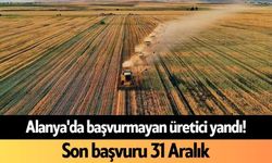 Alanya'da başvurmayan üretici yandı