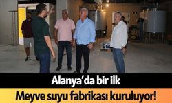 Alanya’da bir ilk! Meyve suyu fabrikası kuruluyor