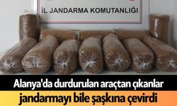 Alanya'da durdurulan araçtan çıkanlar jandarmayı bile şaşkına çevirdi
