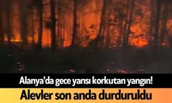 Alanya'da gece yarısı korkutan yangın! Alevler son anda durduruldu