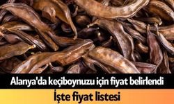 Alanya'da keçiboynuzu için fiyat belirlendi