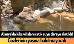 Alanya'da lüks villaların atık suyu dereye akıtıldı! Gözlerinin yaşına bakılmayacak
