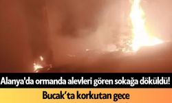 Alanya'da ormanda alevleri gören sokağa döküldü