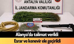 Alanya'da talimat verildi: Esrar ve kenevir ele geçirildi