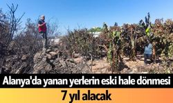 Alanya'da yanan yerlerin eski hale dönmesi 7 yıl alacak