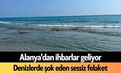 Alanya'dan ihbarlar geliyor: Denizlerde şok eden sessiz felaket