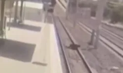 Ankara'da dehş*t: Doktor tren raylarına atlayarak intihar etti