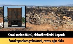Antalya'da kaçak moloz döktü, elektrik tellerini kopardı: Bedeli ağır oldu