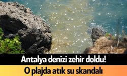 Antalya denizi zehir doldu! O plajda atık su skandalı