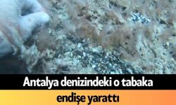 Antalya denizindeki o tabaka endişe yarattı