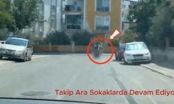 Antalya Emniyeti büyük felaketi son anda önledi