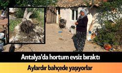 Antalya'da hortum evsiz bıraktı: Aylardır bahçede yaşıyorlar