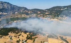 Antalya Kaş'ta çıkan orman yangınından haber var