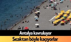 Antalya kavruluyor! Sıcaktan böyle kaçıyorlar