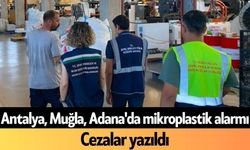 Antalya, Muğla, Adana'da denizlerde mikroplastik alarmı