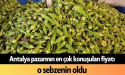 Antalya pazarının en çok konuşulan fiyatı o sebzenin oldu