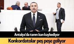 Antalya’da tarım kan kaybediyor: Konkordatolar peş peşe geliyor