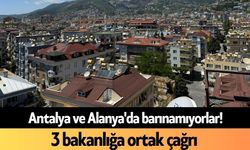 Antalya ve Alanya'da barınamıyorlar! 3 bakanlığa ortak çağrı