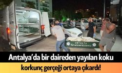 Antalya’da bir daireden yayılan koku korkunç gerçeği ortaya çıkardı!
