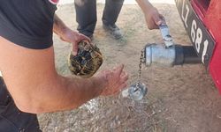 Antalya'da canlı canlı yanmaktan toprağa sığınarak kurtulmaya çalıştı