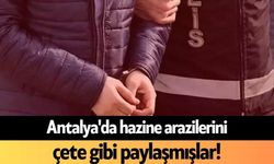 Antalya'da hazine arazilerini çete gibi paylaşmışlar