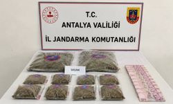 Antalya'da kilolarca skunk ele geçirildi