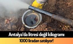 Antalya'da litresi değil kilogramı 1000 liradan satılıyor