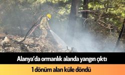 Alanya’da ormanlık alanda yangın çıktı: 1 dönüm alan küle döndü