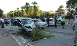 Antalya'da refüjü aştı, kafa kafaya çarpıştılar