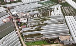 Antalya’da Üreticiye 657 Bin Metrekare Destek
