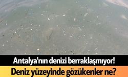 Antalya'nın denizi berraklaşmıyor! Deniz yüzeyinde gözükenler ne?