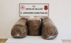 Antalya'nın iki ilçesinde kaçak tütün operasyonu