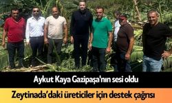 Aykut Kaya Gazipaşa'nın sesi oldu: Zeytinada’daki üreticiler için destek çağrısı