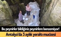 Bu peynirler bildiğiniz peynirlere benzemiyor! Antalya'da 3 aylık yeraltı mucizesi