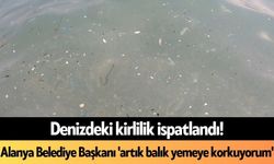 Denizdeki kirlilik ispatlandı! Alanya Belediye Başkanı 'artık balık yemeye korkuyorum'