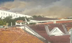 Son dakika l Heybeliada'da yangın çıktı