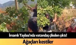 İmamlı Yaylası'nda vatandaş çileden çıktı! Ağaçları kestiler