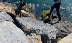 Kocaeli'nde neler oluyor? Denizden 3 c*set çıktı