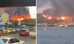 Muğla Fethiye'de orman yangını çıktı