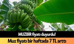 MUZBİR fiyatı duyurdu! Muz fiyatı bir haftada 7 TL arttı
