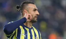 Fenerbahçe'nin eski golcüsü Süper Lig ekibinde!