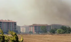 Balıkesir, Bilecik ve Silivri'de orman yangınları ne durumda?