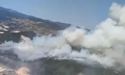 Balıkesir yangını kontrol altına alındı: Ne kadar alan kül oldu?