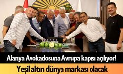 Alanya Avokadosuna Avrupa kapısı açılıyor! Yeşil altın dünya markası olacak