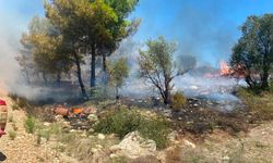 Zirai alanda yangın: 1 dönüm küle döndü