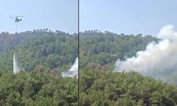 Adana'da orman yangını yeniden çıktı