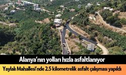 Alanya'nın asfaltsız yolu kalmayacak! Yaylalı Mahallesi asfaltlanıyor