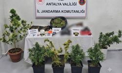 Alanya ve Serik'te titizlikle arandı! Zehir tacirlerine şok baskın